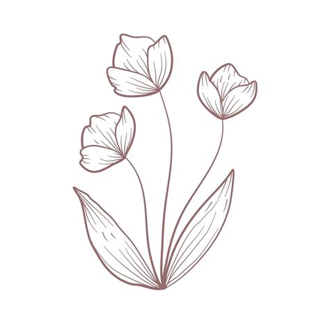 Hand Drawn Flower Sketch Line Art Vector Illustration 11538664 Vector