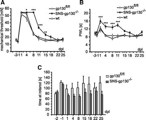 Delayed Sensory Recovery In Sns Gp Mice After Peripheral Nerve