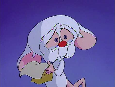 Image Pinky And The Brain 16 Heroes Wiki Fandom Powered By Wikia