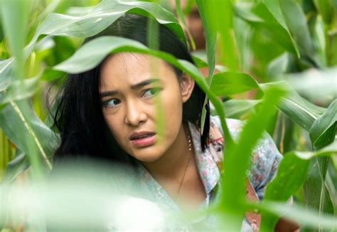 Sinopsis Film Kupu Kipu Kertas Cinta Terlarang Putri Anggota PKI