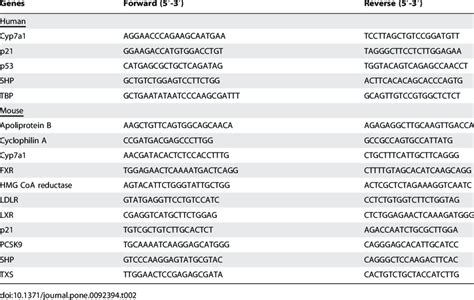 Sequences Of The Primers For Real Time Quantitative Pcr Download Table