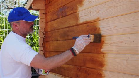 Calibro Cristiano Bianco Come La Neve Ristrutturare Casetta In Legno Da