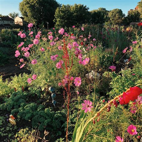 Jardins Communautaires Montr Al Parfaits Pour D Velopper Votre