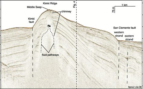 Seismic Reflection Profile Line Showing A Transpressional Ridge