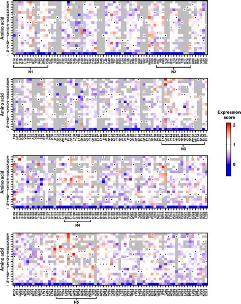 Probing The Biophysical Constraints Of Sars Cov Spike N Terminal