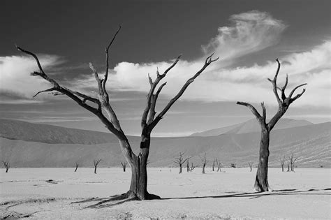 Climate Apocalypse What Does The New Epochal Report Warn About