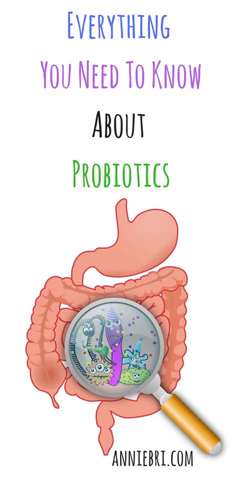 Probiotics Healthy Digestive Tract Healthy Digestion Healthy Gut