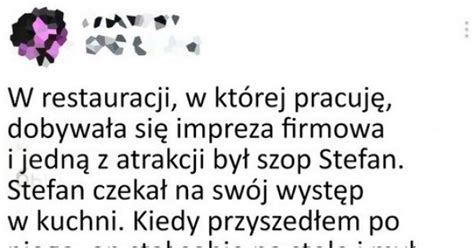 Szop Stefan zna się na rzeczy Jeja pl