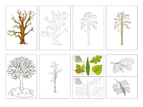 Растения | Home decor decals, Home decor, Decor