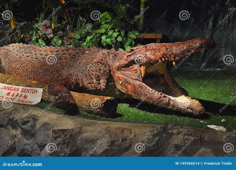 A Replica of a Crocodile at Jong`s Crocodile Farm and Zoo in Kuching ...