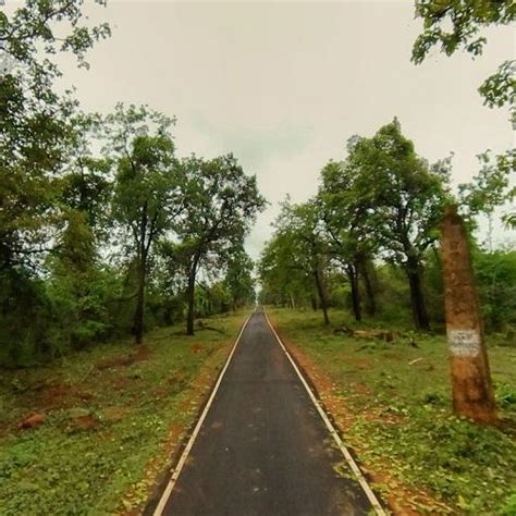 Tadoba Andhari Tiger Reserve in Chandrapur, India (Google Maps)