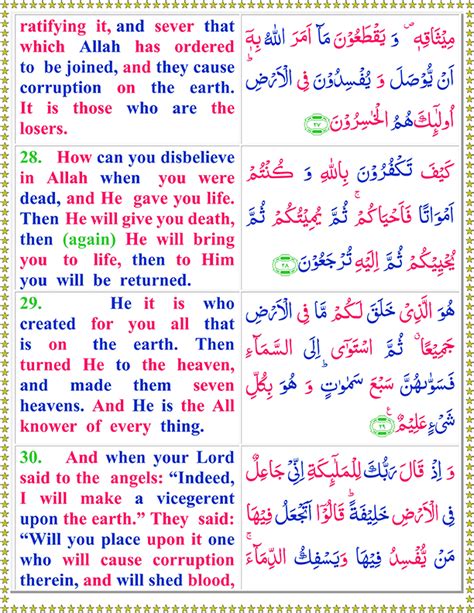 Read Surah Al Baqarah With English Translation Quran O Sunnat