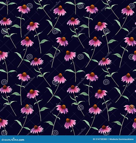 Watercolor Repeat Seamless Pattern With Herb Flower Coneflower