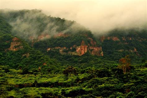 Geoparque Araripe Caatinga Chapada Ceara