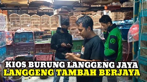 SURVEI HARGA BURUNG HARI INI DIPASAR BURUNG PRAMUKA KIOS LANGGENG JAYA