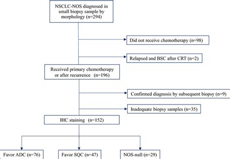 Flow Diagram Of The Study Selection Process Nsclc Nos Non Small Cell