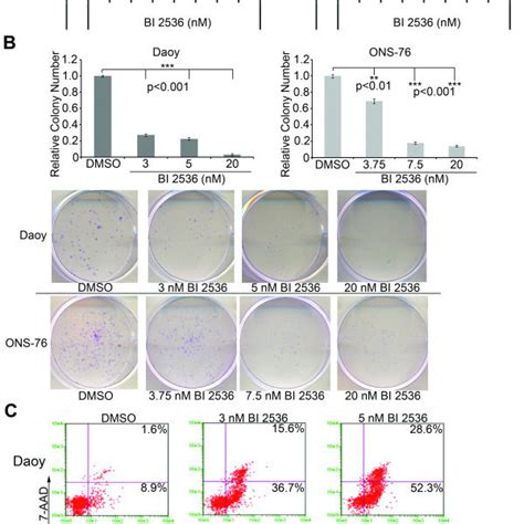 Inhibition Of PLK1 With BI 2536 Decreases Cell Growth And Increases