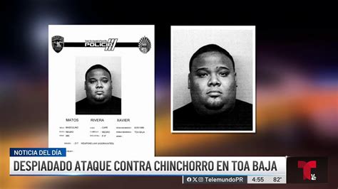 Masacre En Toa Baja Sicarios Buscaban A Presunto Narco Llamado Maco