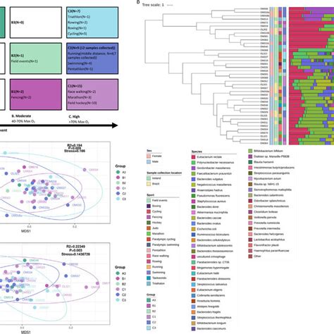 Diversity And Composition Of The Gut Microbiome A Classification Of