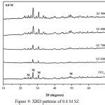 Preparation And Characterization Of Sulfated Zirconia From A Commercial