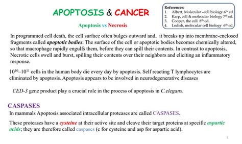 Apoptosis and CANCER biology 2020.pdf | Free Download