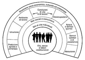 Disuguaglianze In Salute E Determinanti Sociali CSI