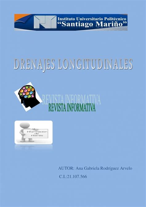 PDF Tipos De Drenajes Longitudinales Revista DOKUMEN TIPS