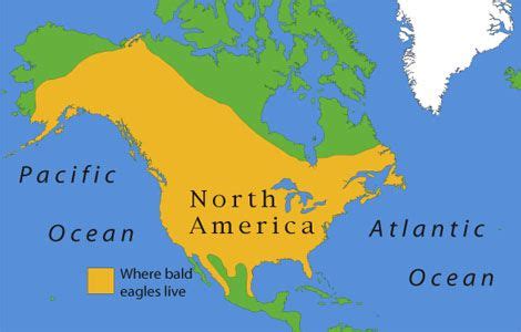 Eagle Gallery: Bald Eagle Range Map