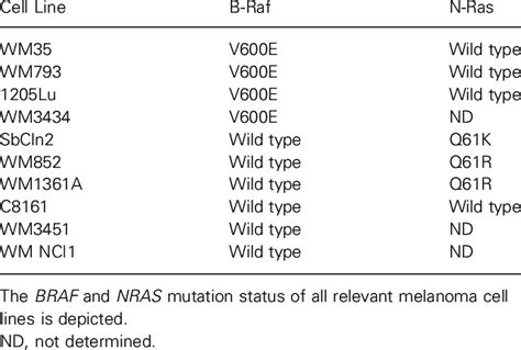 Mutational Status Of Various Melanoma Cell Lines Download Table