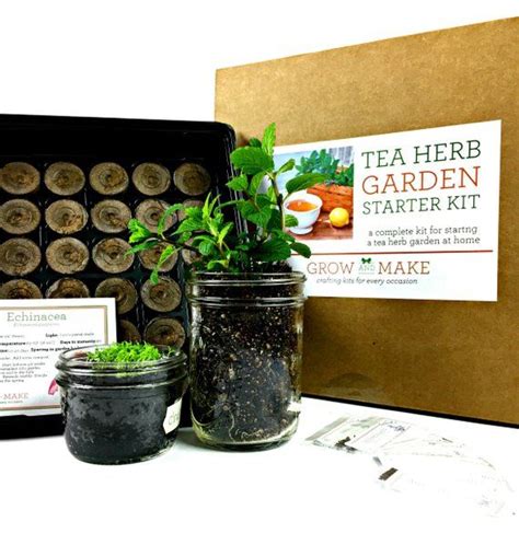 DIY Tea Herb GARDEN KIT Grow Your Own Herbal Tea Garden Plant - Etsy ...