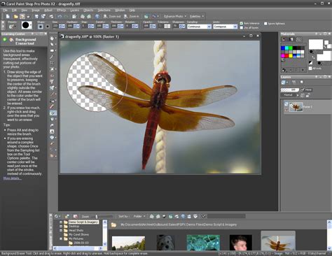 Stardock Introduces Corel Paint Shop Pro Photo X2 Now Available On Impulse