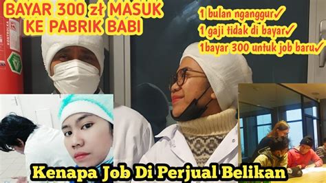 Fakta Tentang Polandia Tidak Ada Job Kenapa Tki Di Berangkatkan Youtube