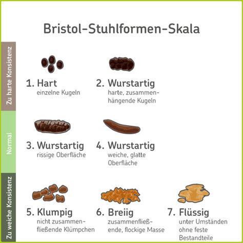 Stuhlgang Welche Farbe Und Konsistenz Sind Normal Cerascreen