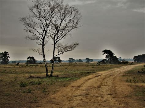 National Park Hoge Veluwe Netherlands