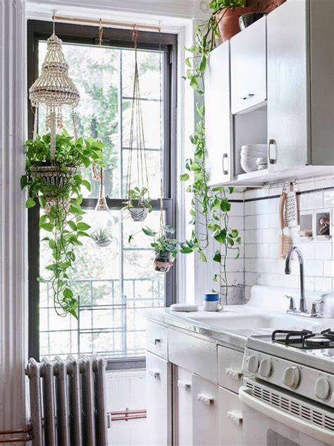 Tendance déco les plantes dans la cuisine Ateliers Jacob