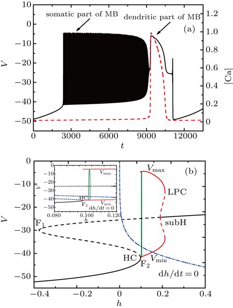 Effect Of Magnetic Flow And External Forcing Current On Mixed Bursting