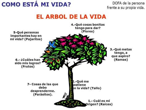 Completamos El Arbol Que Representa El Itinerario De Nuestra Vida Con Las Actividades Realizadas