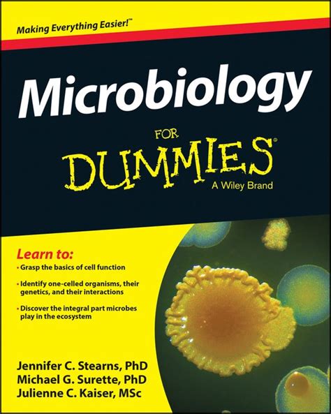 Microbiology For Dummies Jennifer Stearns Boeken Bol