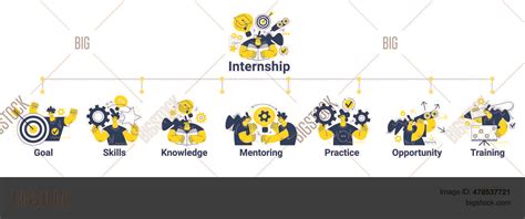 Internship Concept Vector And Photo Free Trial Bigstock