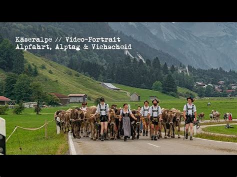 Alpfahrt und Viehscheid der Käseralpe Oberstdorf Allgäu YouTube