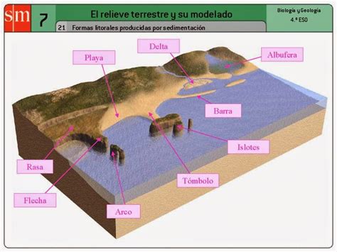 Blog Del Rea De Biolog A Y Geolog A De Eso Del Ies Miguel Crespo