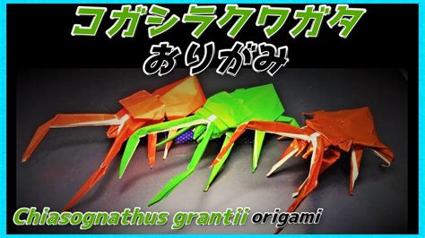 Chiasognathus Grantii Darwin S Beetle Origami