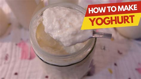 HOW TO MAKE YOGHURT AT HOME HOMEMADE YOGHURT RECIPE YouTube