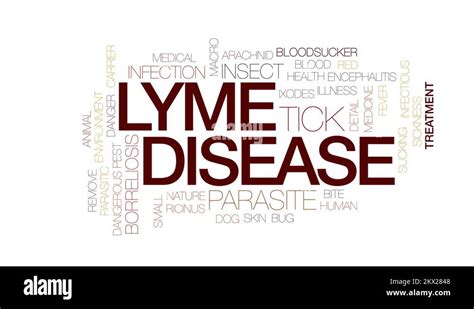 Lyme Disease Animated Word Cloud Text Design Animation Kinetic