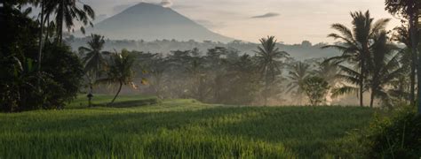 Rejse Til Bali Og Lombok Bestil Din Rejse I Dag Myplanet Rejser