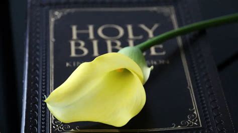 What Does The Bible Say About Sex Before Marriage The Holy Script