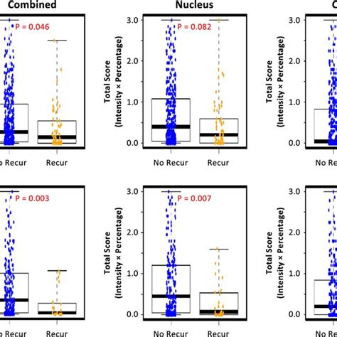 Box And Whisker Plots Showing Subcellular Localization Of Pcrk Crkl