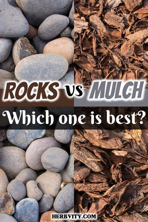 Rocks And Mulch Which One Is Best