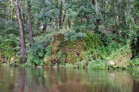 Withlacoochee Madison To Suwannee Florida Paddle Notes