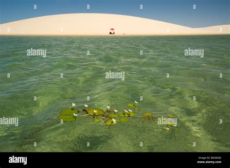 Lagoa Tropical Atins Len Ois Maranhenses Maranh O Brazil Stock Photo